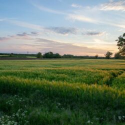 zdjęcie gruntów rolnych